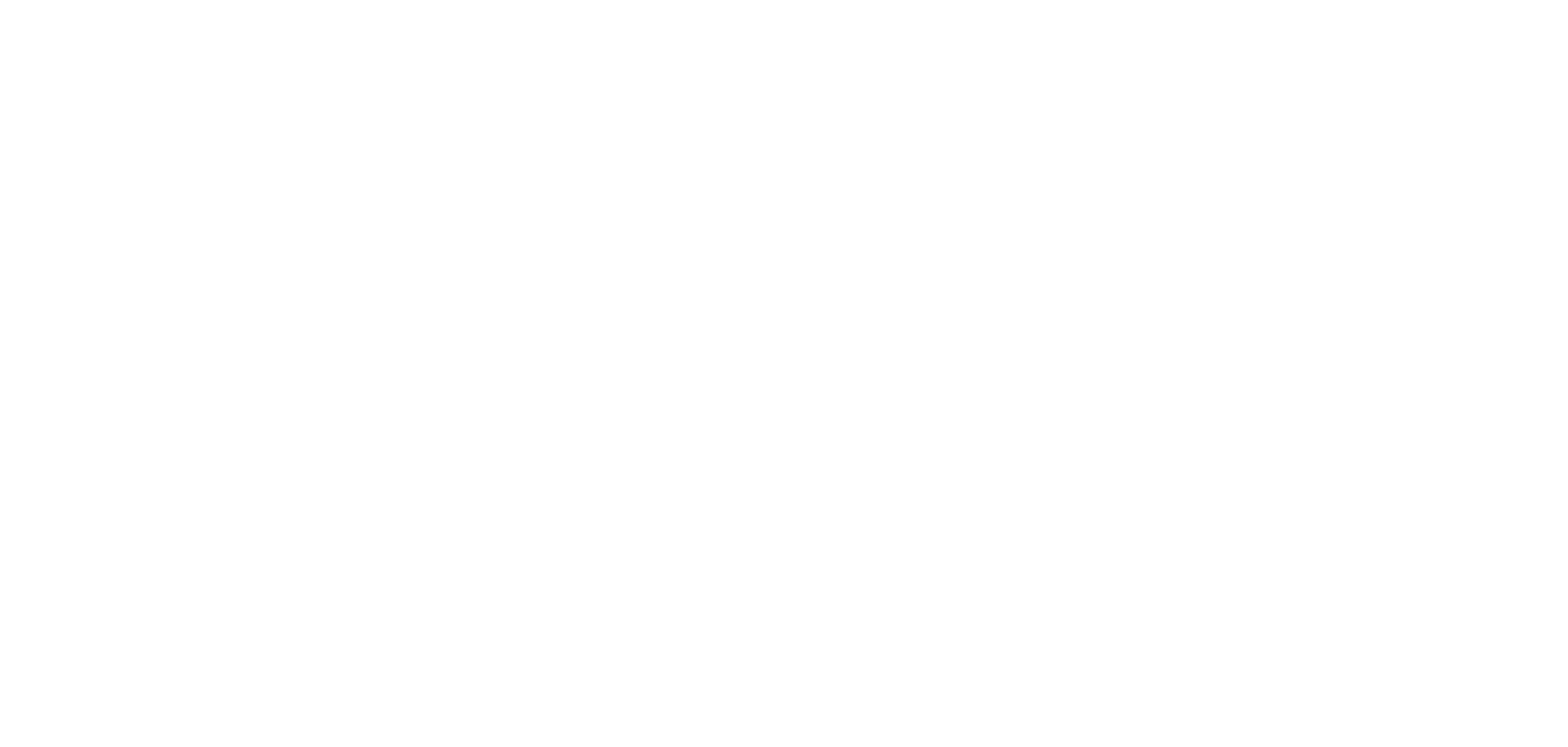 AA SNAPS LLC